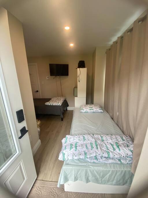 Studio Unit With Private Entrance, 2 Bed 1 Bath Daire St. John's Dış mekan fotoğraf